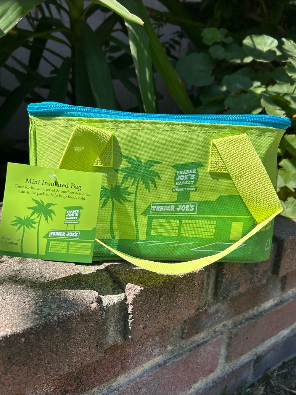 Trader Joe's Lime Green Mini Insulated Tote